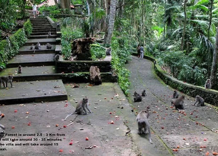 Villa Private Wayan